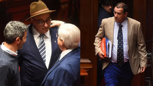 MARATÓNICA SESIÓN Y ABRUPTO FINAL EN LA INTERPELACIÓN A FRATTI EN EL SENADO: HUBO CRUCES, INSULTOS Y AGRAVIOS